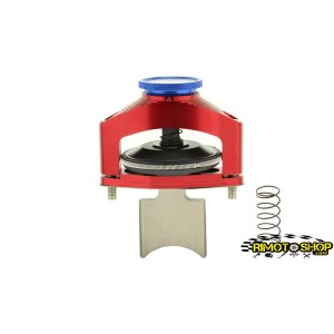 Aprilia RX SX MX ROTAX 122 pneumatic Rave valve italkit complete-VER.01.125 | RiMotoShop