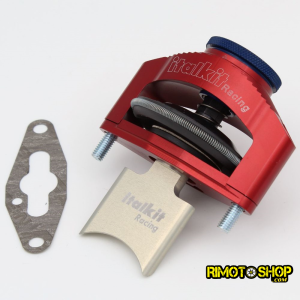Aprilia RX SX MX ROTAX 122 pneumatic Rave valve italkit complete-VER.01.125 | RiMotoShop