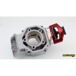 Aprilia RX SX MX ROTAX 122 Valvola Rave pneumatica completa-VER.01.125|RiMotoShop