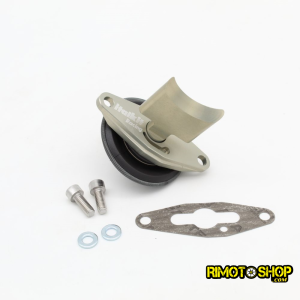 Aprilia Rs125 ROTAX 122-123 Valve for rave italkit-VE.01.125 | RiMotoShop