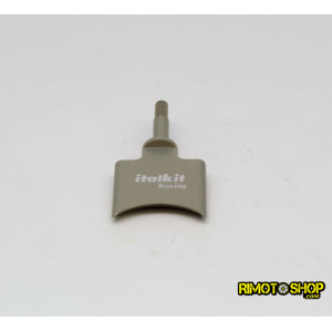 Aprilia RS125 RX MX SX Engine Rotax 122 123 Valve for rave italkit-VER.01.125.02 | RiMotoShop