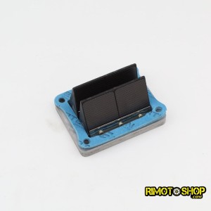 Pacco lamellare per Cagiva mito ev125 sp525 Raptor 125-LC.26.3-4|RiMotoShop