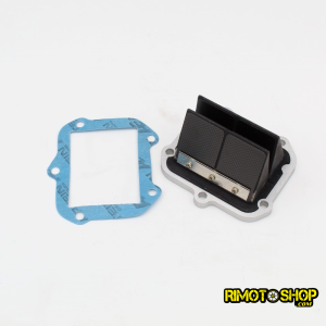 Pacco lamellare (8 petali) per APRILIA RS 125 1996-2015 Rotax122-123-LC.01.125.0-1 | RiMotoShop