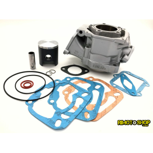 Cilindro con pistone e guarnizioni per APRILIA RS 125 1996-2015 Rotax122-CI.01.AP | RiMotoShop