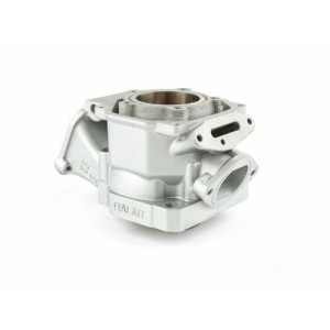 Cylinder with piston and seals for HM 125 year 2008-2015 Rotax122-CI.01.AP | RiMotoShop
