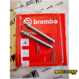 Pasadores de pastillas de freno con pin lock APRILIA Dorsoduro 750 2010-2013-AP8113721-RiMotoShop