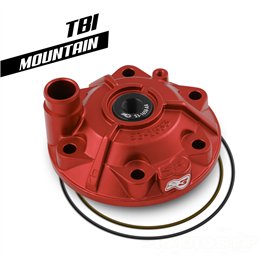 GASGAS MC 250 2024 Testata motore scomponibile S3 Enduro