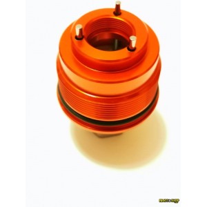 Fork sleeve cap Aprilia Tuono 1000 RSV 2006-2009-ap8123817 | RiMotoShop