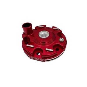 Testa cilindro scomponibile GasGas MC125 2025