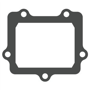 Reed valve Kawasaki KX 250 2005-2008 - V-Force 3 (gasket only)-MTG307 | RiMotoShop