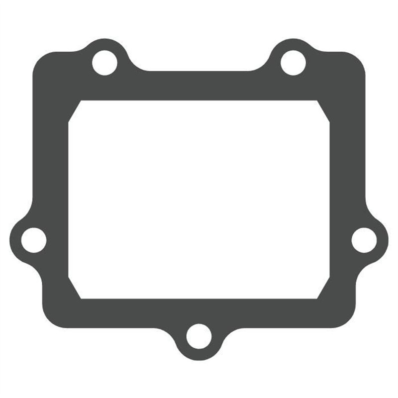 Reed valve Suzuki RM 250 2003-2012 - V-Force 3 (gasket only)-MTG307 | RiMotoShop