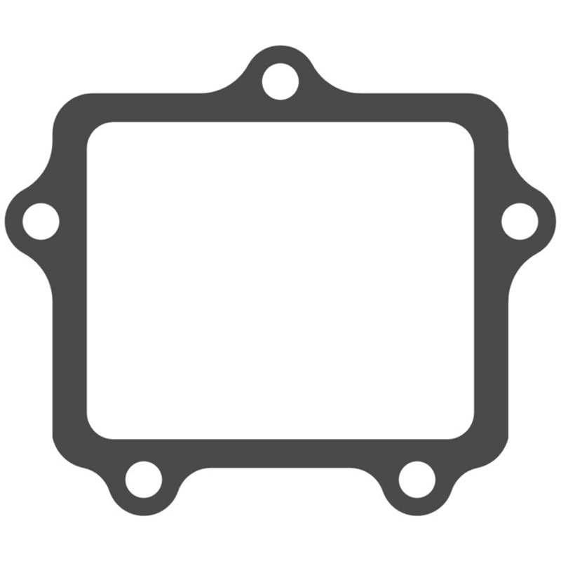 Reed pack Fantic 250 XX 2022-2025 - V-Force 4 X (gasket only)-MTG407 | RiMotoShop