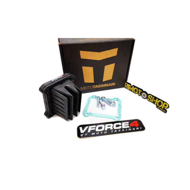 Pacco lamellare Beta RR 250 2013-2025 - V-Force 4-MTV417A | RiMotoShop