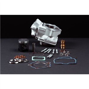 Cilindro e pistón Suzuki RGV250 , VJ21 , VJ22 1991-1996