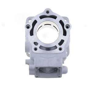 cylinder e Piston Suzuki RGV250 , VJ21 , VJ22 1991-1996