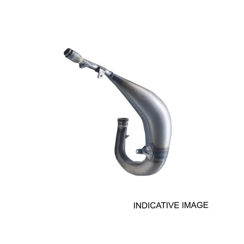 Scalvini Gasgas 250 EC 2024 - Espansione