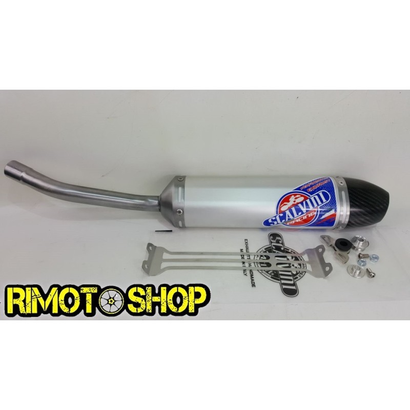 Scalvini HM 125 Rotax 08-16 SILENCER exhaust Alu-Carb-002.084312 | RiMotoShop