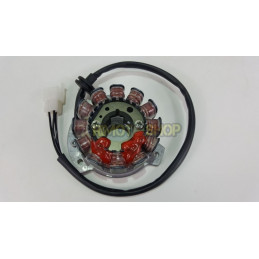 stator DUCATI Energia HUSQVARNA SM S 125 WRE 07 2012-31146532-RiMotoShop