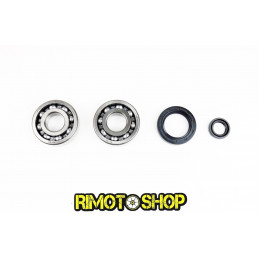 Oil seal kit and main...