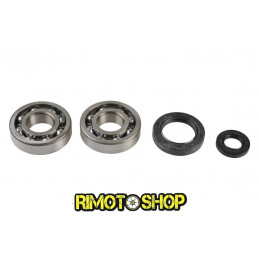 Oil seal kit and main...