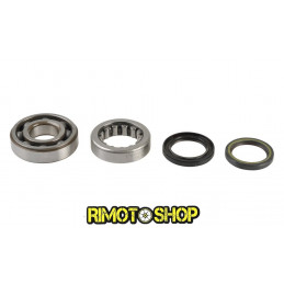 Oil seal kit and main...