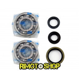 Oil seal kit and main...