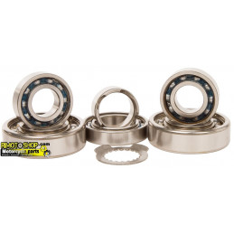 Trasmission bearing kit YAMAHA WR 250F 2001-2014-TBK0066-RiMotoShop