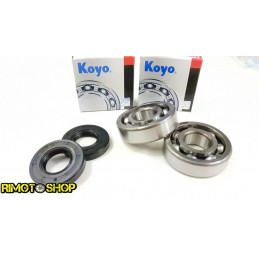 Oil seal kit and main...