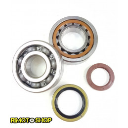 Oil seal kit and main bearings Ktm EXC 125 06-16-24-1097-RiMotoShop