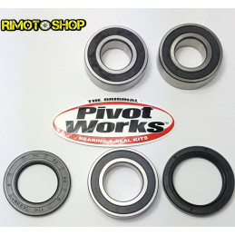 Kit cuscinetti e paraoli ruota posteriore KAWASAKI ZX-14