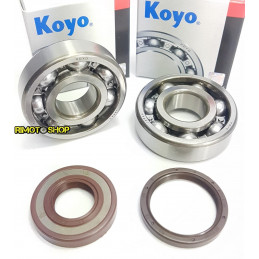 Oil seal kit and main bearings Husqvarna WRE 125 98-12