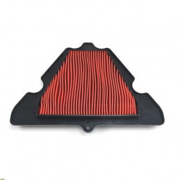 Filtro de Aire Kawasaki 1000 Z SX 11-13-K2189-RiMotoShop