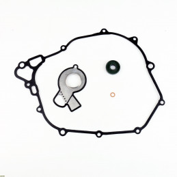 Water Pump Gasket Kit Ktm...