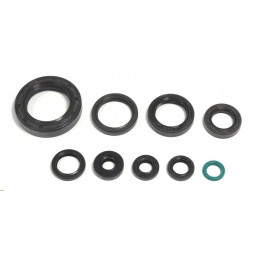 Engine oil seal kit Honda...