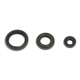 Engine oil seal kit...