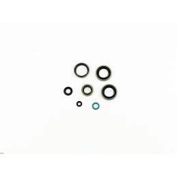 Engine oil seal kit...