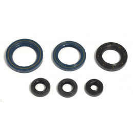 Engine oil seal kit Ktm SX...