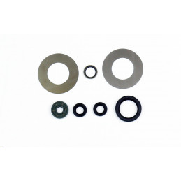 Engine oil seal kit...