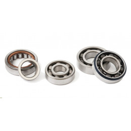 Main Bearing Left husqvarna...