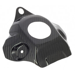 Cmt carbon tank cover...