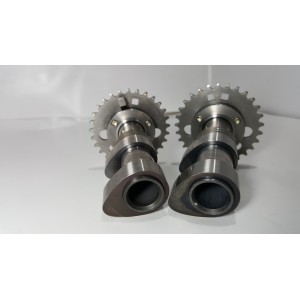 1999 2003 Aprilia RSV 1000 TUONO 1000 camshafts-AL2-4617.4D | RiMotoShop