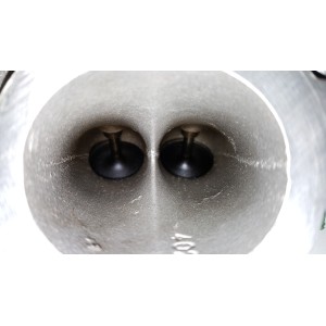 99 03 APRILIA RSV TUONO 1000 testata motore-TE9-4088.8T | RiMotoShop