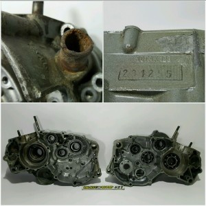 AF1 futura ROTAX 123 tapas motore crankcase