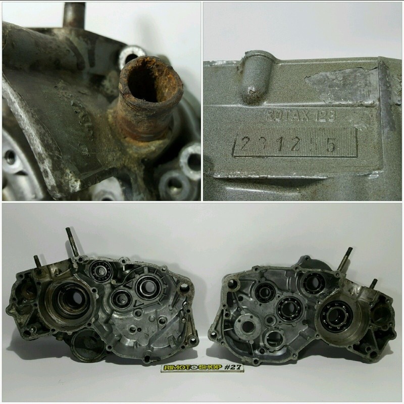 AF1 futura ROTAX 123 carter motore crankcase-AL7-3595.5M|RiMotoShop