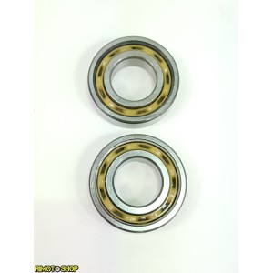 Motor shaft BEARINGS HM 125 ROTAX122-ALB-SKF-2 | RiMotoShop