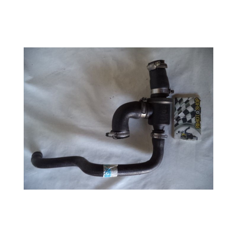 Aprilia RSV 1000 Tuono 1000 RP 99-03 manicotti radiatore-CA4-8963.2N|RiMotoShop