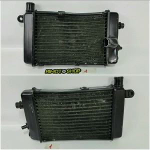 99 03 APRILIA RSV1000r Tuono left radiator water-RA4-5281.4V | RiMotoShop