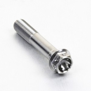 Brake caliper bolt titanium Gr5 M10x1.25x55 drilled HONDA DUCATI APRILIA SUZUKI MV-BCFR0010 | RiMotoShop