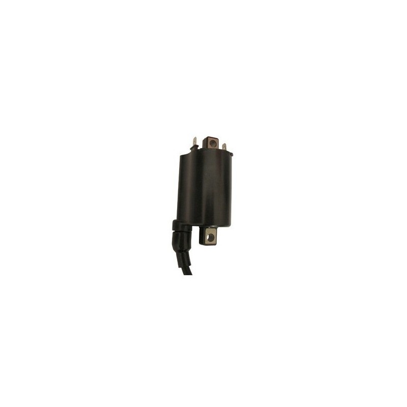 BOBINA ACCENSIONE ESTERNA 12V-CC 4,0 OHM APRILIA MOTO GUZZI-10559|RiMotoShop