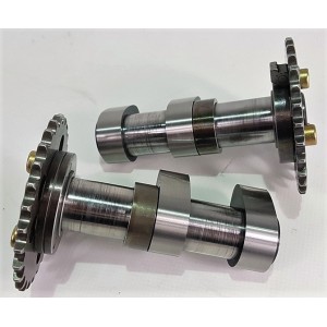 2000 03 Aprilia rsv 1000 tuono1000 camme asp. + scar. 